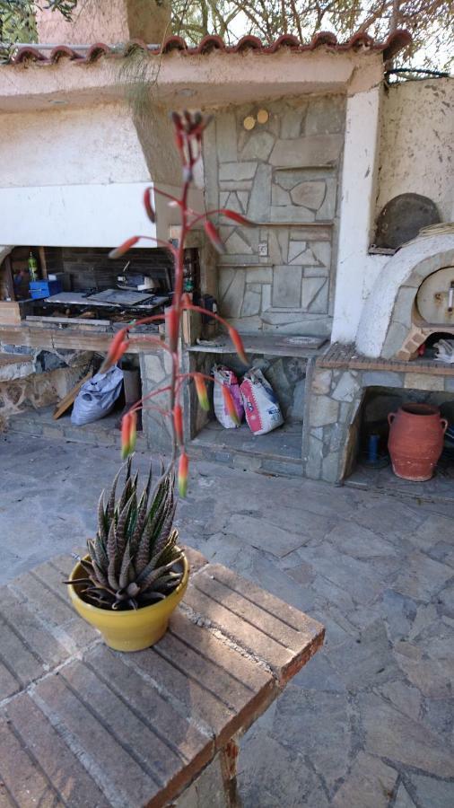 Agia Marina Mikrolimanou Το Πετρινοヴィラ エクステリア 写真